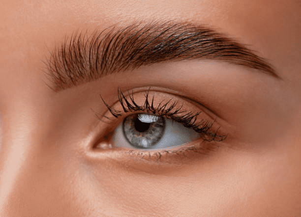 Servicios de Manicura, Pedicura, Cejas y Pestañas